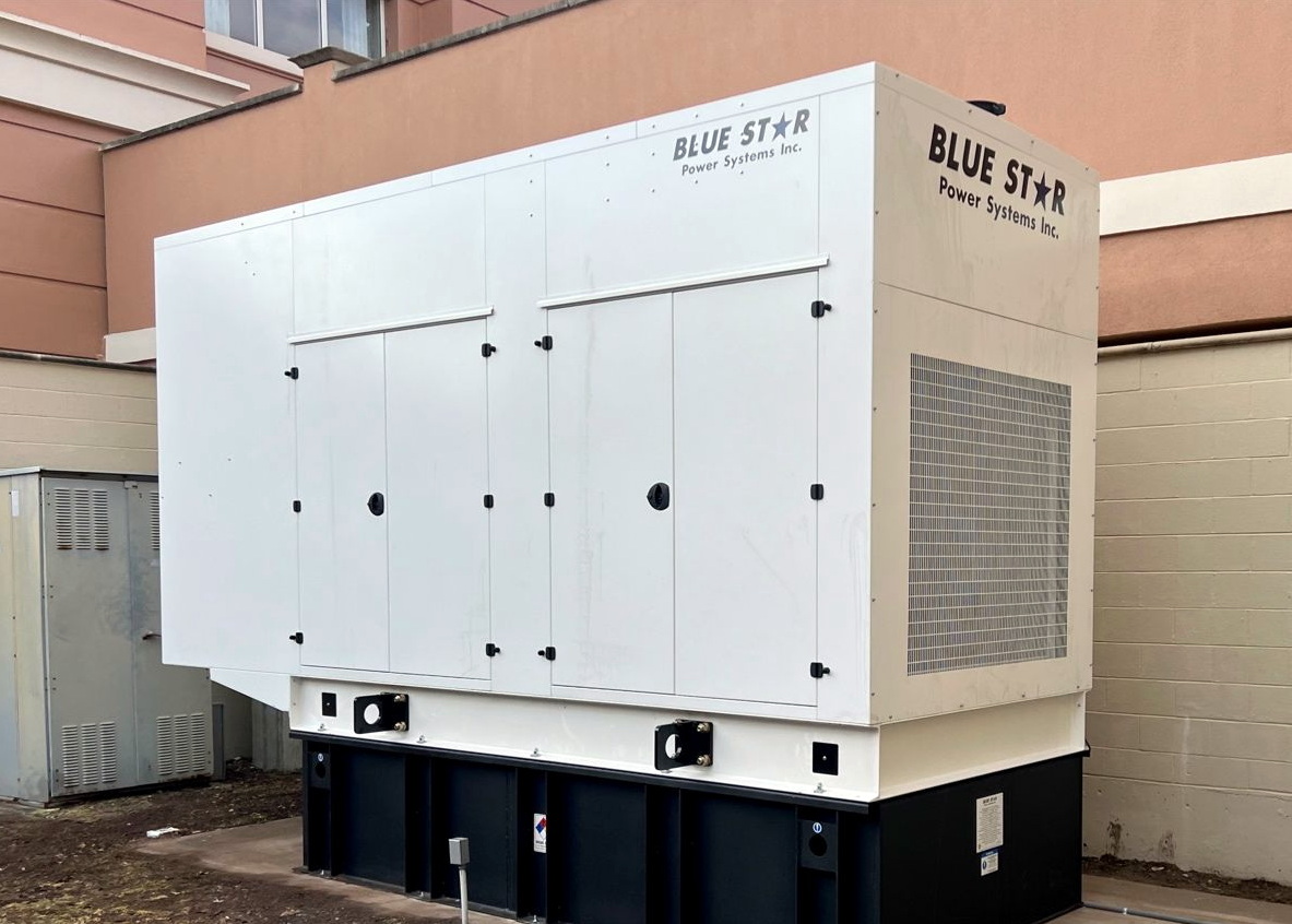 Used Blue Star Generators